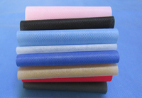 永川涤纶（PET）无纺布是什么